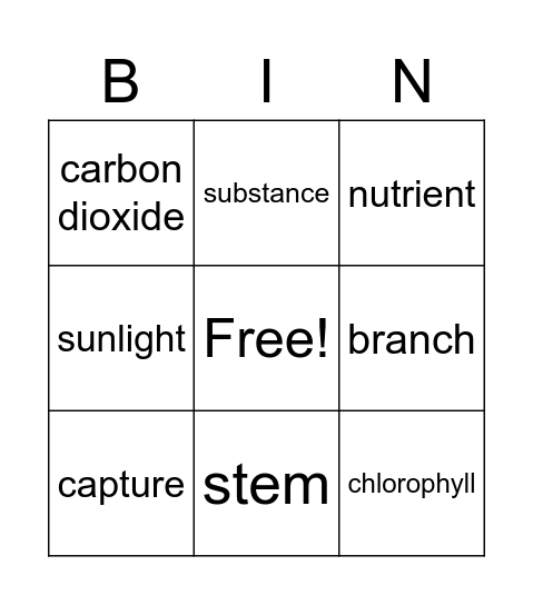 explore-the-world-bingo-card