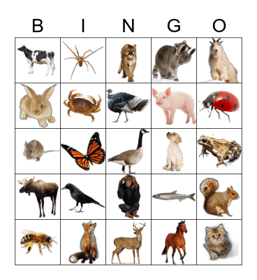 Animals Bingo Card