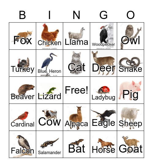 Ohio Animals Bingo Card