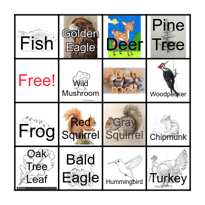 Woelfel North BINGO!! Bingo Card