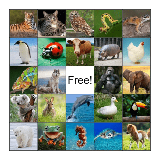 Animal Bingo Card