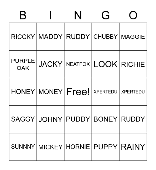 BINGO MAGIC Bingo Card