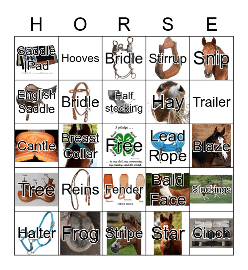 Horse Bingo Card