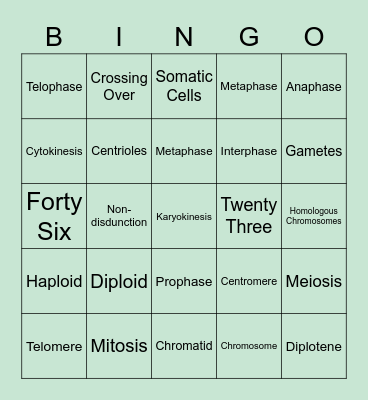 Cell Division Bingo Card