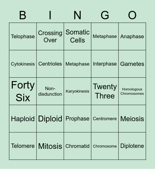 Cell Division Bingo Card