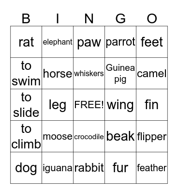 Bingo Unit 4 Bingo Card