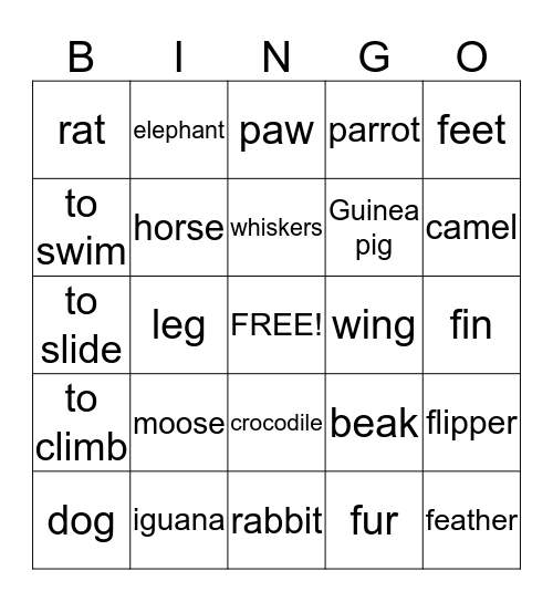 Bingo Unit 4 Bingo Card