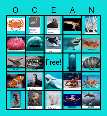 Find the Ocean Mammals Bingo Card