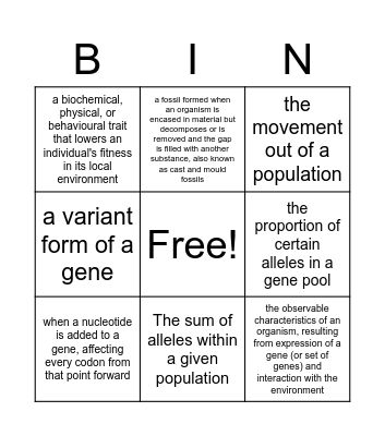 Chapter 11 and 12 Review Bingo Card
