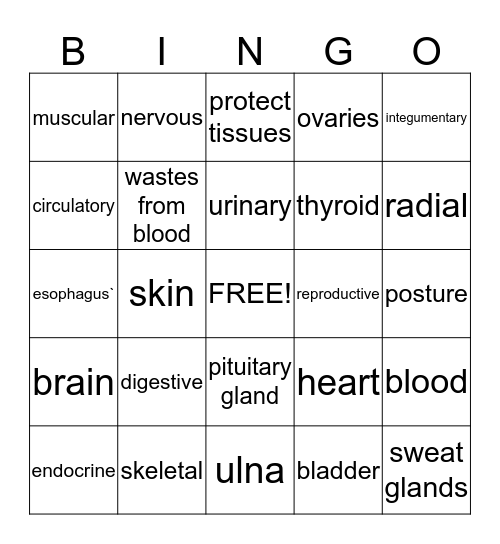 Body System Bingo Card