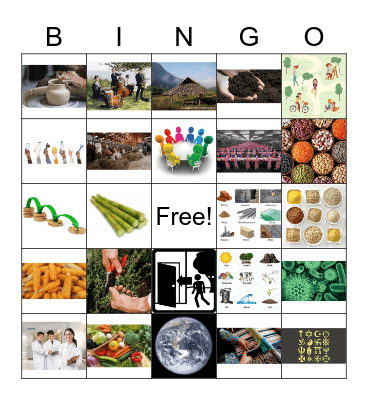 agricultural english Bingo Card