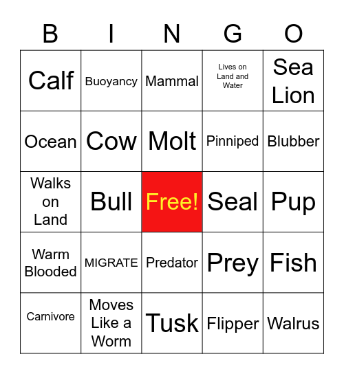 PINNIPEDS Bingo Card