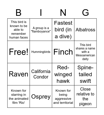 Fun Bird Facts!! Bingo Card