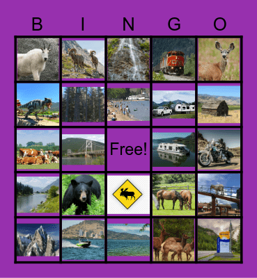 Abby & Aiden's Vacation Bingo Card