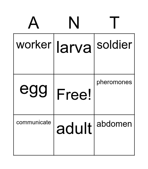 Ant Bingo! Bingo Card