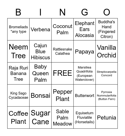 Como Zoo Conservatory Bingo Card