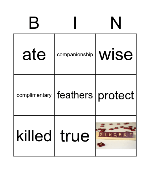 Lesson 2 Bingo Card
