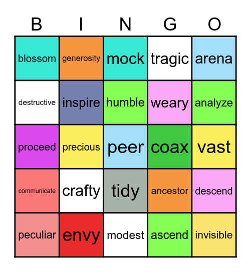 VOCABULARY WORDS Bingo Card