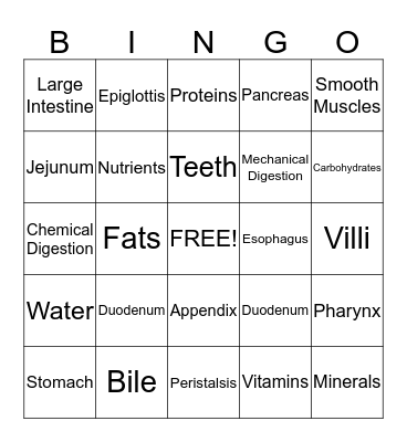 Nutrition and Digestion Bingo Card