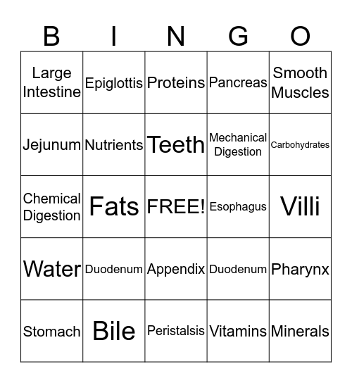 Nutrition and Digestion Bingo Card