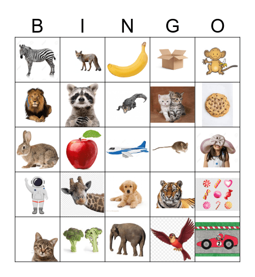 Bingo Animals, Food & More Bingo Card