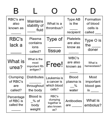 A&P II Bingo Card