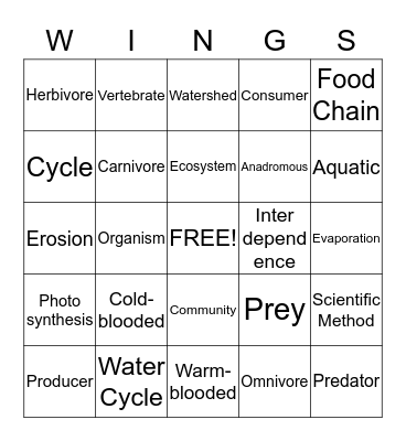 Outdoor School Bingo Card
