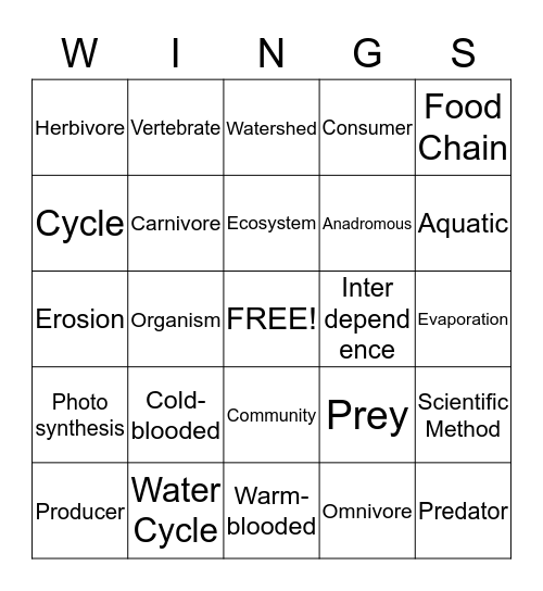 Outdoor School Bingo Card