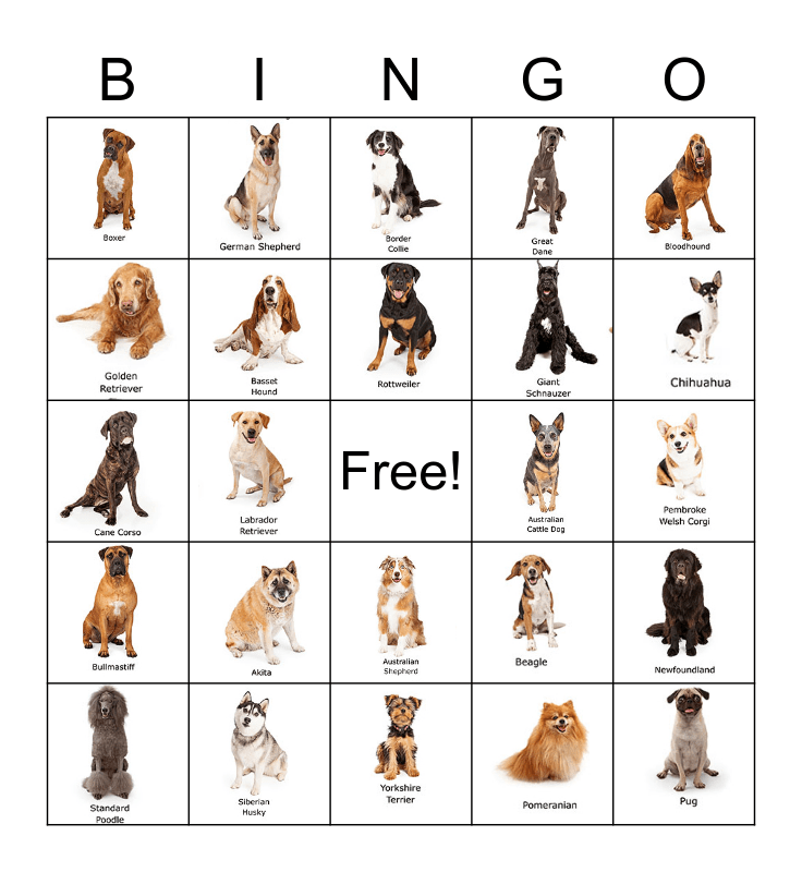 Dog Breed Bingo Card