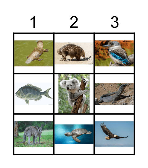 Bundjalung Bingo Card