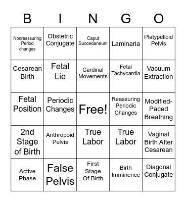 Chapter 8-11 Bingo Card
