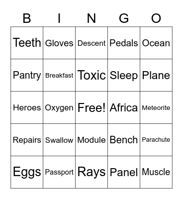 Bingo at the Space Station Bingo Card