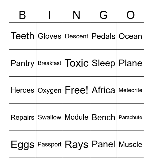 Bingo at the Space Station Bingo Card