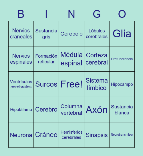 Sistema nervioso Bingo Card