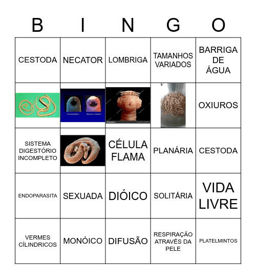 PLATELMINTOS E NEMATODAS Bingo Card