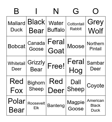 theHunter Bingo Card