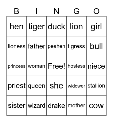 Gender Nouns Bingo Card