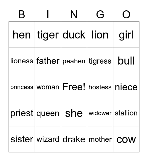 Gender Nouns Bingo Card