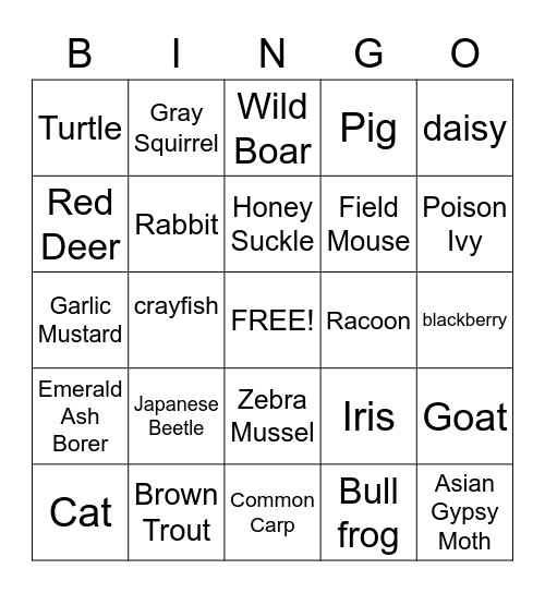 Invasive Species Bingo Card