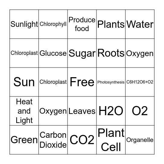 Photosynthesis Bingo Card