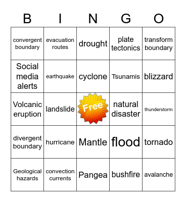 Natural Disasters Bingo Card
