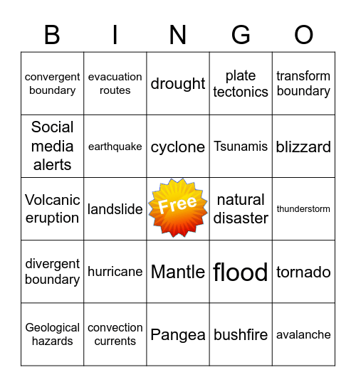 Natural Disasters Bingo Card