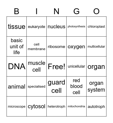 Cells Bingo Card