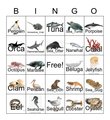 Marine Animals Bingo Card