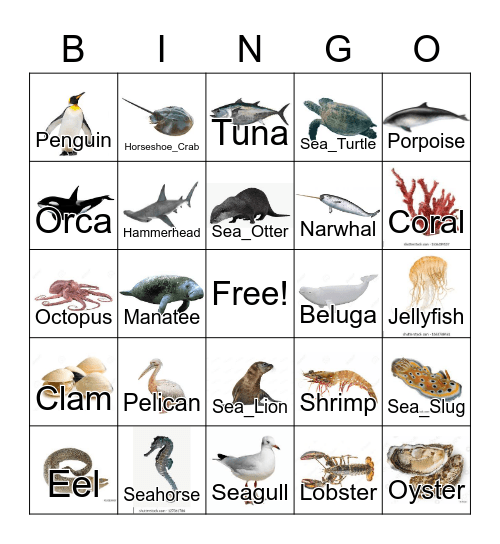 Marine Animals Bingo Card