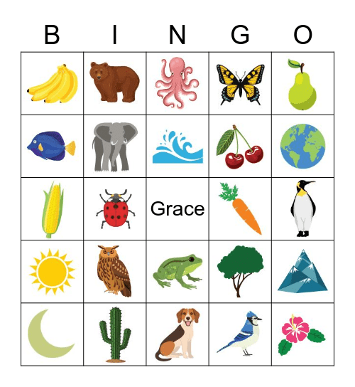 Creation Bingo Card