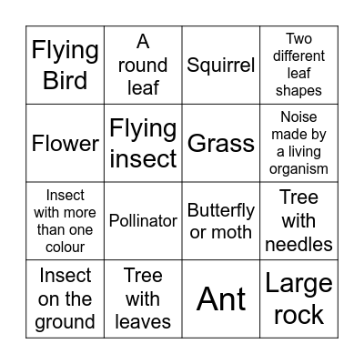 Biodiversity Bingo Card