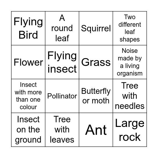 Biodiversity Bingo Card