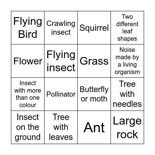 Biodiversity Bingo Card