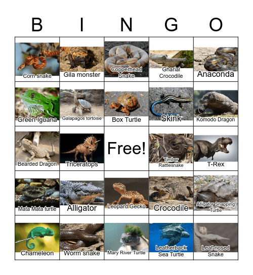 Reptiles Bingo Card